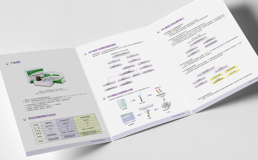 《HPV基因分型檢測(cè)-宮頸癌篩查》產(chǎn)品的三折頁(yè)